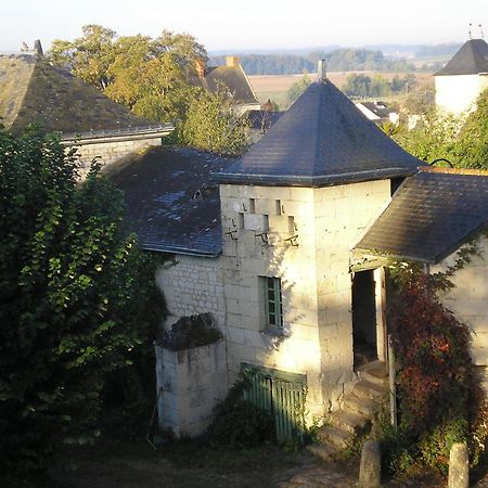 Bed and Breakfast Manoir De Boisairault Le Coudray-Macouard Esterno foto