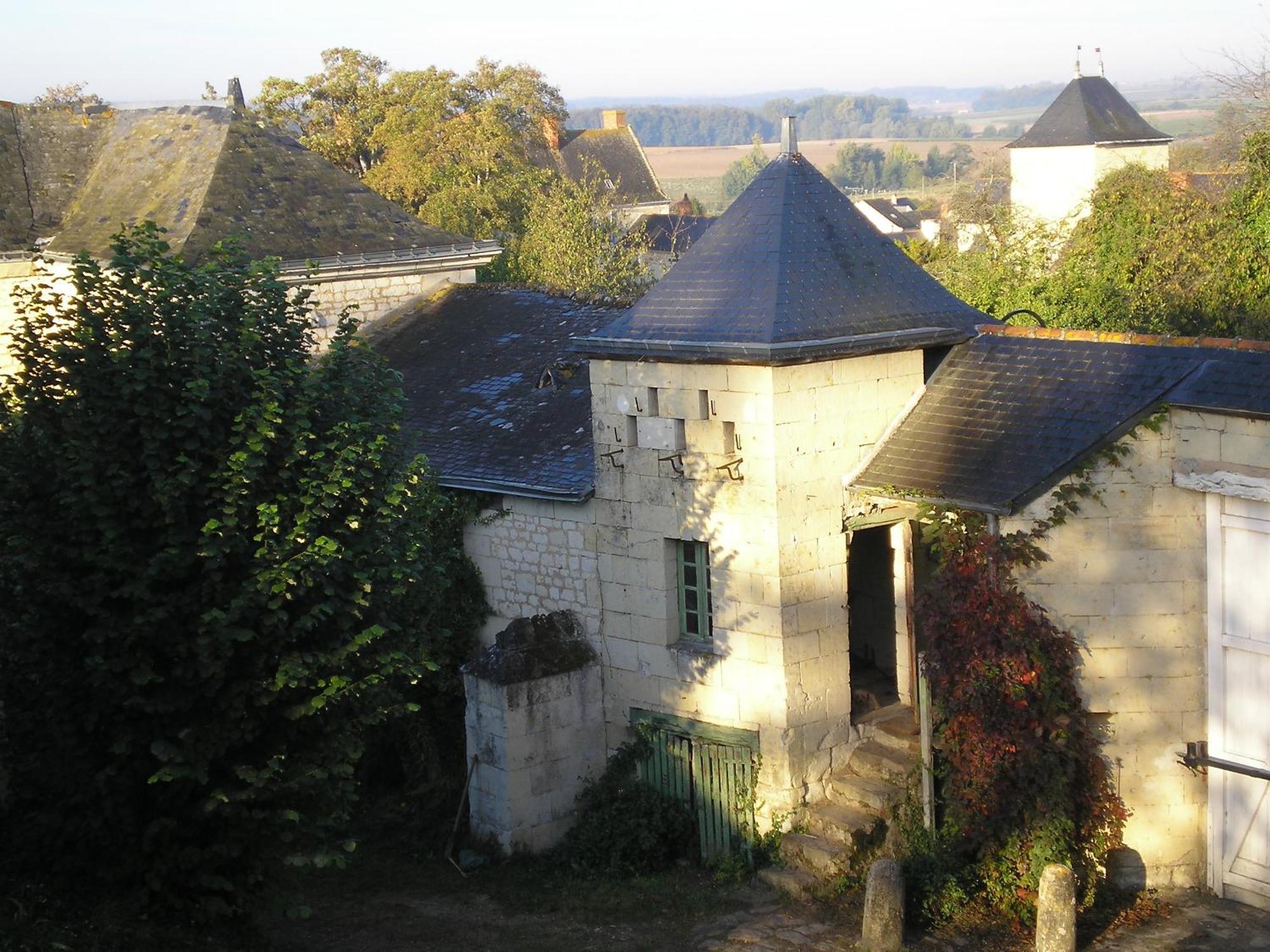 Bed and Breakfast Manoir De Boisairault Le Coudray-Macouard Esterno foto