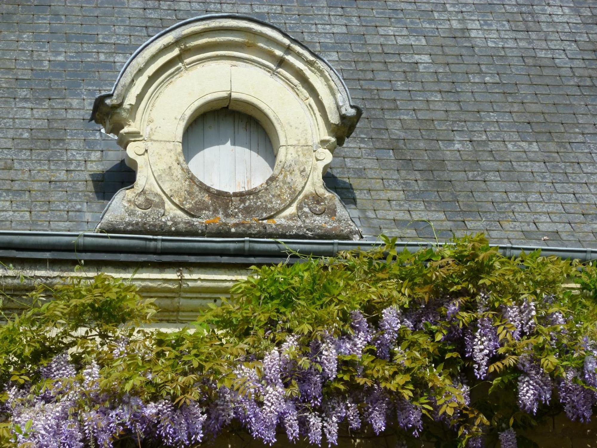Bed and Breakfast Manoir De Boisairault Le Coudray-Macouard Esterno foto