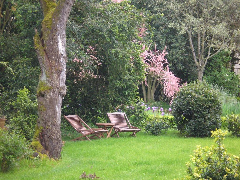 Bed and Breakfast Manoir De Boisairault Le Coudray-Macouard Esterno foto