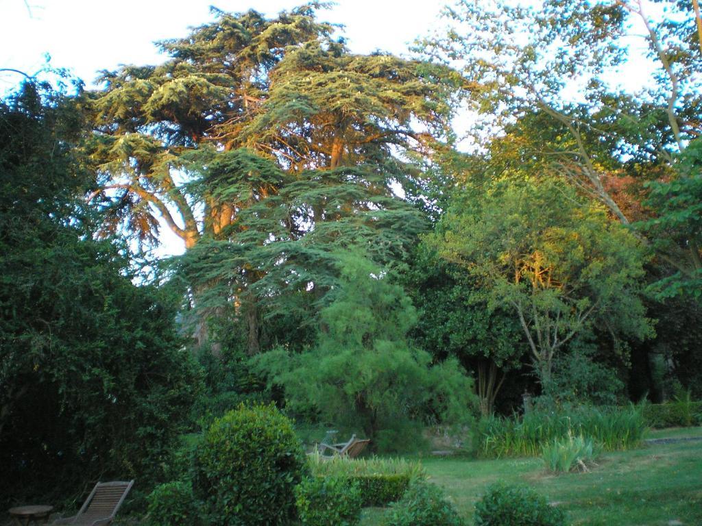 Bed and Breakfast Manoir De Boisairault Le Coudray-Macouard Esterno foto