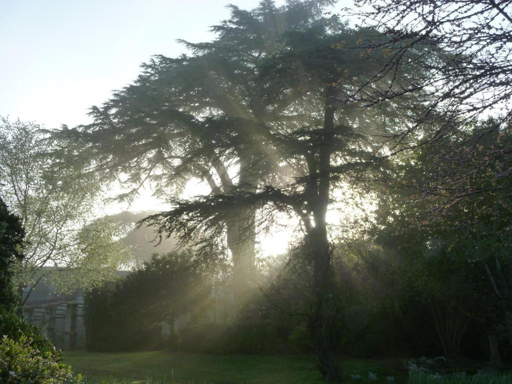 Bed and Breakfast Manoir De Boisairault Le Coudray-Macouard Esterno foto