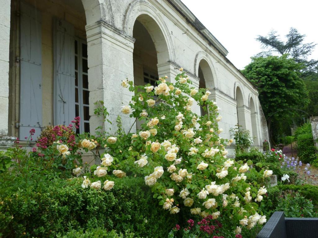 Bed and Breakfast Manoir De Boisairault Le Coudray-Macouard Esterno foto