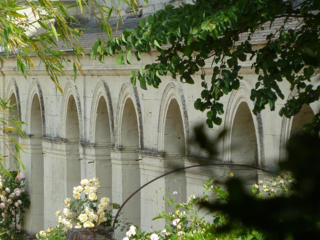 Bed and Breakfast Manoir De Boisairault Le Coudray-Macouard Esterno foto