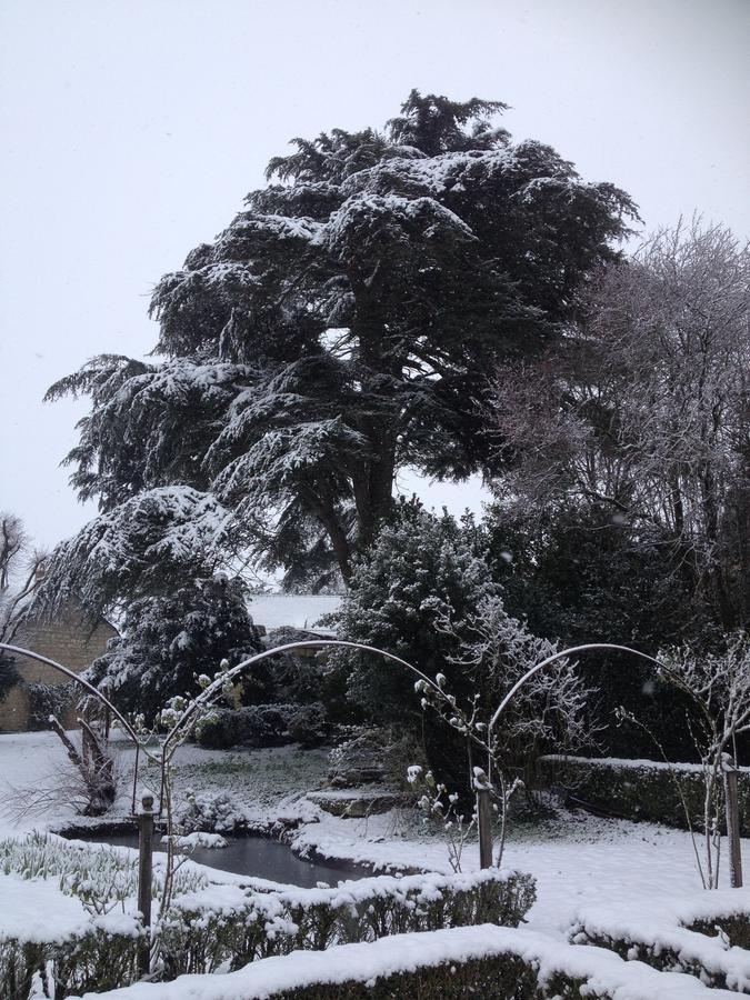 Bed and Breakfast Manoir De Boisairault Le Coudray-Macouard Esterno foto