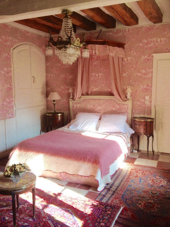Bed and Breakfast Manoir De Boisairault Le Coudray-Macouard Esterno foto